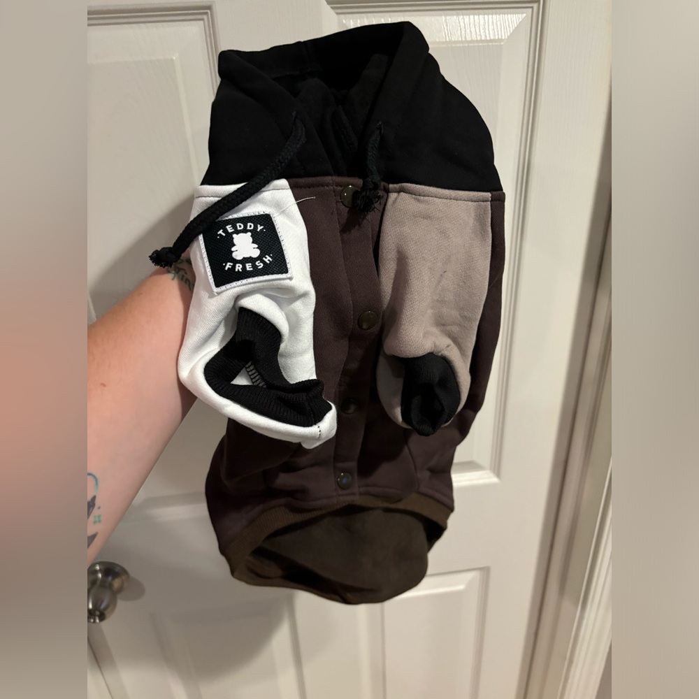 Teddy Fresh Dog Hoodie